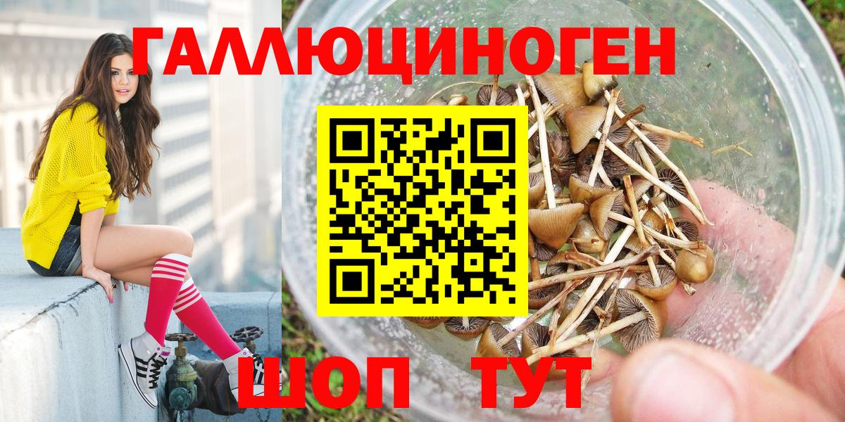 Галлюциногенные грибы прущие грибы  Вход с VPN  Десногорск 