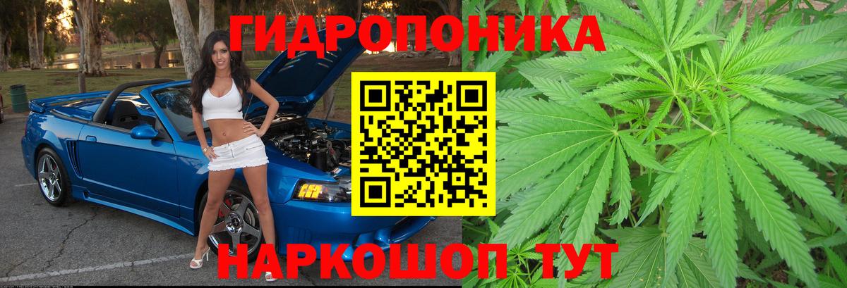 МАРИХУАНА MAZAR  Вход с VPN  Десногорск  Конопля конопля 